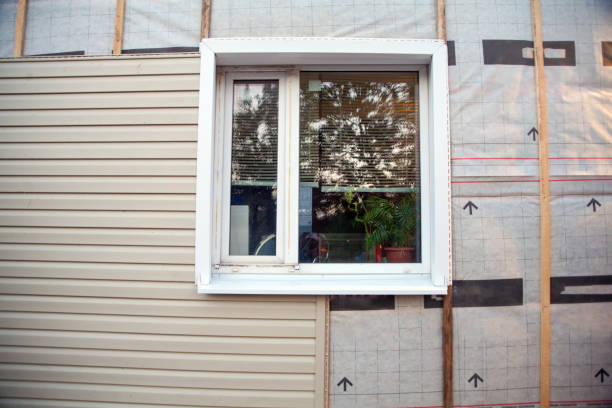 Best Custom Trim and Detailing for Siding  in Woodsboro, MD